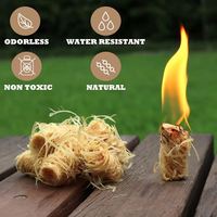 Bâtonnets de cire de bois pour allume-feu, rouleaux de charbon de bois à allumage rapide pour camping en extérieur et barbecue, 50 pièces/boîte, combustible