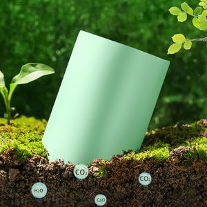 Bolsa de sobres de mensajería ecológica, embalaje de logística de plástico verde biodegradable, bolsas de franqueo, bolsas de envío para ropa - Product Image 6