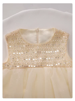 Robe de princesse en tulle à deux niveaux sans manches avec corsage à sequins champagne pour filles, idéale pour les mariages, anniversaires, concours de beauté et fêtes formelles pour les tout-petits et les enfants