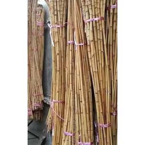 CH Global's Best Selling Small-Size Natural Raw Rattan Cane Furniture Handicrafts Pattern for <b>Agriculture</b> <b>Greenhouses</b> - Product Image 5