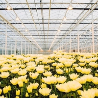 Grande serre en verre multi-voûtes avec structure en acier galvanisé à chaud, taille personnalisable, systèmes d'irrigation automatique, d'ombrage et de refroidissement