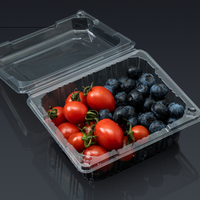 Contenants alimentaires en plastique avec couvercles - Boîtes de rangement transparentes pour fruits, salades, collations et produits de charcuterie