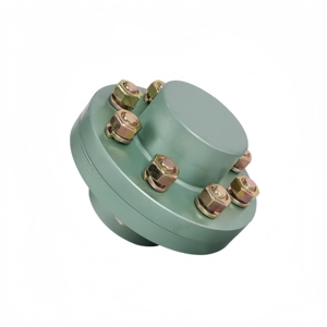 Acoplamiento Elástico FCL125, <span class=keywords><strong>Eje</strong></span> Flexible para Maquinaria Minera y Bombas, Soporte OEM Personalizado - Product Image 2