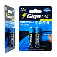 Pile alcaline premium 1,5 V LR6 AA, petites piles cylindriques pour jouets éducatifs
