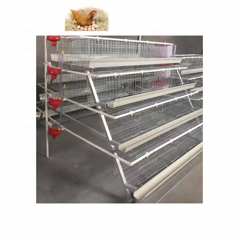 Cage de poulet galvanisée à prix raisonnable, économie de main-d 'œuvre, contrôle de l'humidité, NT-4L-Auto-H pour ferme de culture