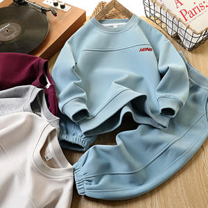 Conjunto de <span class=keywords><strong>ropa</strong></span> deportiva informal para niños de otoño 2025 al por mayor, conjunto de dos piezas para niños grandes con patrón, conjunto de <span class=keywords><strong>ropa</strong></span> para niños - Product Image 2