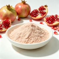 Poudre de jus de grenade instantanée de qualité supérieure, séchée par atomisation, saveur fruitée, pour la production de thé au lait, bonbons et pâtisseries, fabriquée en Chine