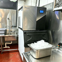 Machines à glace commerciales pour la production de glace en blocs/boulets/pastilles/en flocons pour les cafés, les hôtels et les bars