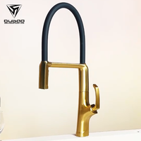 Robinet de cuisine en laiton avec douchette extractible, rotation à 360 degrés, robinets mélangeurs de cuisine