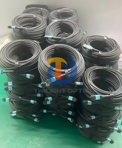 Câble de raccordement OM4 MPO vers MPO 12 fibres blindé LWL LSZH noir type A B C pour centre de données - Product Image 3