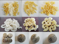 Ligne de machines à pâtes macaroni de formes variées, livraison du fabricant, extrudeuse à vis simple pour la fabrication de spaghetti