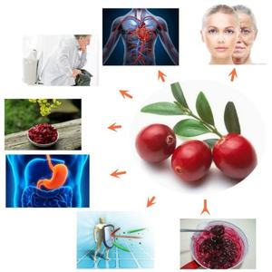 Extracto Concentrado de Arándano de Triple Potencia OEM/ODM con 30000mg de Vitamina C para Adultos, No Apto para Mujeres Embarazadas - Product Image 3