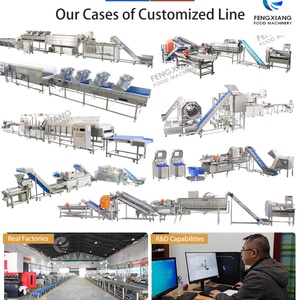 Línea de Procesamiento de Col Fresca a Pequeña y Mediana Escala: Máquina para Cortar, Lavar y Centrifugar la Col - Product Image 6