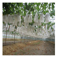 Sac de Protection pour fruits en polypropylène, vente en gros, 100%, couverture, tissu agricole non tissé, vente en gros