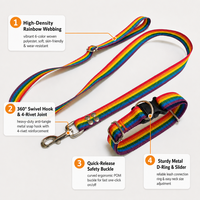 Collier de chien réglable en polyester personnalisé couleur arc-en-ciel article de fierté