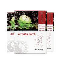 Patch OEM à base de plantes pour l'arthrite, fourniture de soins de santé, plâtre chinois apaisant, patch de santé hypoallergénique, marque privée