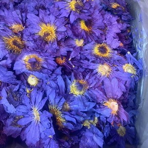 Té de Hojas Sueltas de Flor de Loto Azul Entera de Alta Calidad, Nymphaea Caerulea, de Jardín Propio, Herbal, Natural, Hoja Fumable - Product Image 3