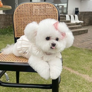 Robe de princesse pour animaux de compagnie, jupe blanche fluide, décorative pour le printemps, pour chiens et chats - Product Image 4
