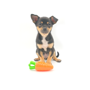 Ultra Dayanıklı Doğal Kauçuk Havuç Köpek Oyuncağı, Agresif Çiğneyiciler İçin Isırmaya Dayanıklı Öğütücü Çiğneme Çubuğu, Ses Çıkaran Evcil Hayvan Oyuncağı - Product Image 4