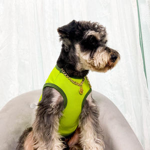 เสื้อยืดสุนัขขนาดกลางบูล<span class=keywords><strong>ด็</strong></span><span class=keywords><strong>อก</strong></span>ฝรั่งเศสสีพื้นสำหรับสันทนาการ - Product Image 4