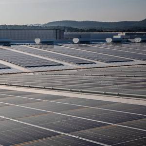 Module photovoltaïque bifacial TOPCon de type N pour l'agriculture voltaïque 630W - Product Image 6