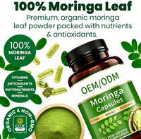 Compléments alimentaires de haute qualité OEM ODM, capsules de Moringa riches en vitamines et minéraux, stimulant l'action antioxydante et le soutien immunitaire