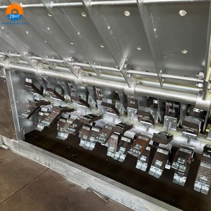 Máquina Despelostradora de Cerdos de Acero Inoxidable, Totalmente Automática, con Certificación CE, Equipo de Sacrificio con Batidor de Goma para Mataderos de Cerdos - Product Image 4