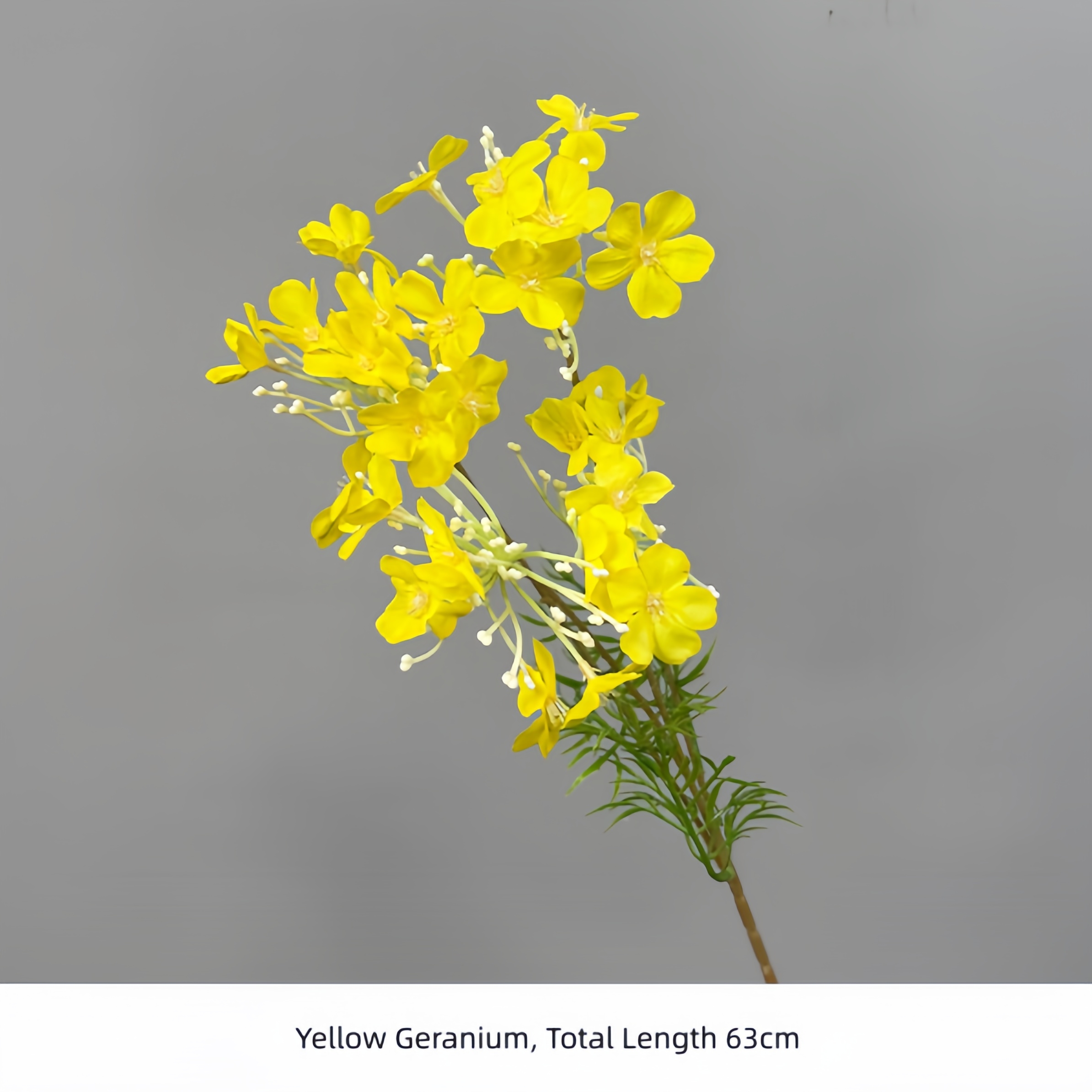 Yellow Geranium