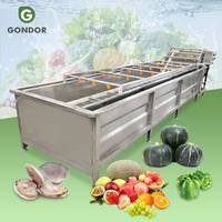 Grande machine de lavage et de nettoyage continu pour l'industrie automobile, destinée aux fruits (palmier, pastèque, fraise) et légumes