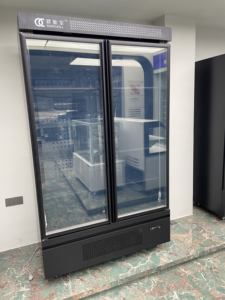 Réfrigérateur Vitrine Vertical Double Porte à Refroidissement par Air Doux pour Bouteilles Fraîches - Product Image 6