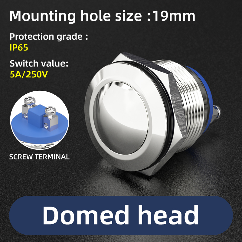 Tornillo de cabeza abovedada de 19 mm, 5 A/250 V, terminal