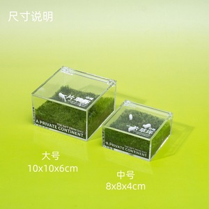 Un césped, un césped privado, un terrario de musgo, una planta verde de escritorio para oficina, una planta en maceta, un regalo, un regalo cultural y creativo - Product Image 2