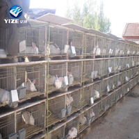 Cages à piles, équipement de volaille utilisé pour la vente, caille Type H, Cage tressée, cultures électriques galvanisées à chaud