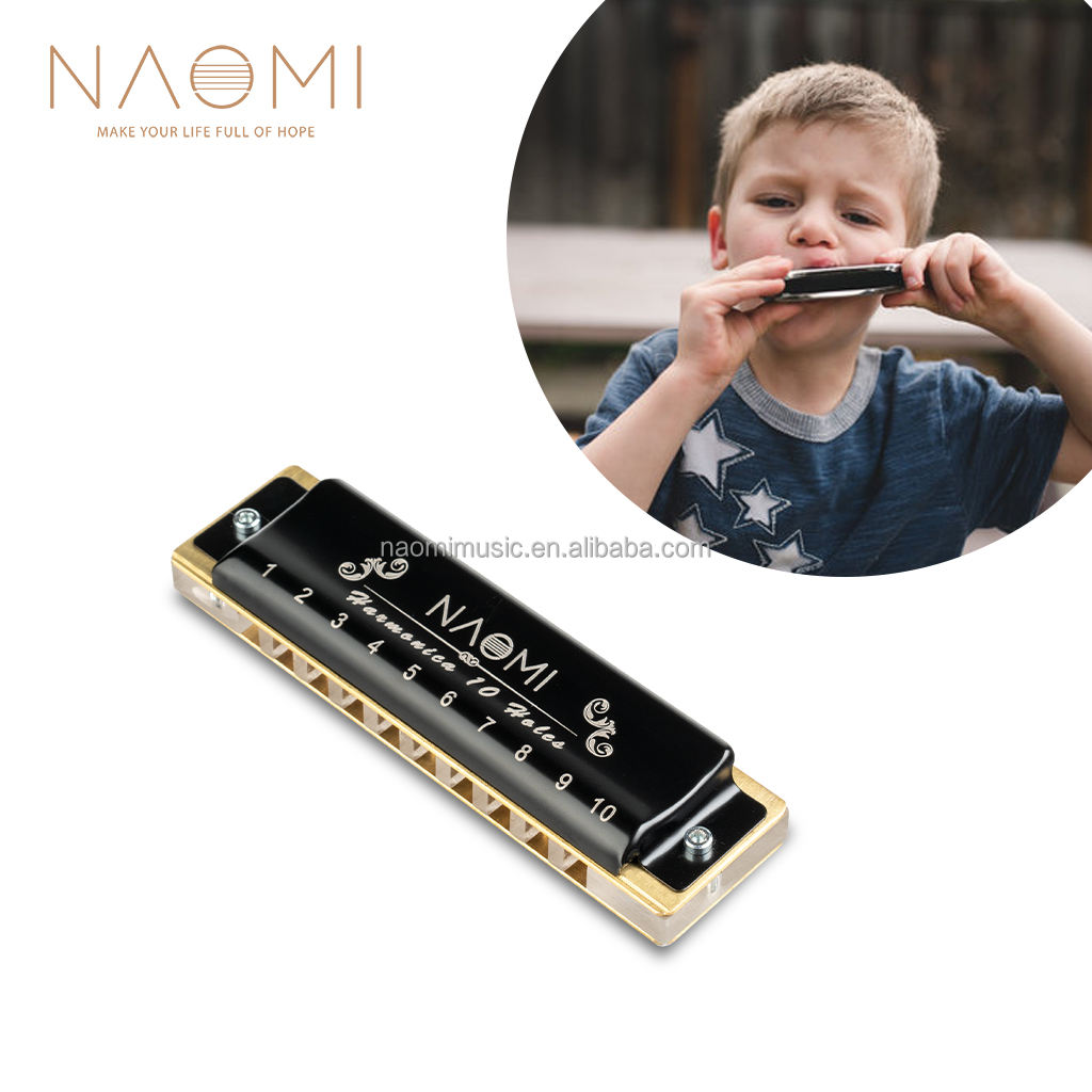 Armonica A Bocca Diatonica 24 Fori Blues Harp Chiave Reed Argento In D E Sol - Foto 12