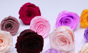 ดอกกุหลาบธรรมชาติที่เก็บรักษาไว้สำหรับวันวาเลนไทน์ขนาด5-6ซม. สำหรับวันแม่ - Product Image 4