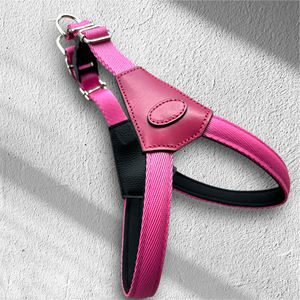 Harnais respirant personnalisé, doux, réglable, en cuir et caoutchouc, laisse pour chien, collier, laisse résistante - Product Image 1