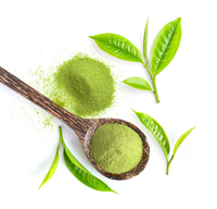 Poudre de Matcha Vert Bio de Qualité Cérémoniale Premium A-7A en Gros, Marque Privée, Certifiée USDA & UE