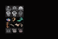 Scanner CT vétérinaire EURVET avec tube à rayons X à roulement métallique liquide, machine de tomodensitométrie HD pour animaux, tomodensitométrie animale pour clinique et hôpital