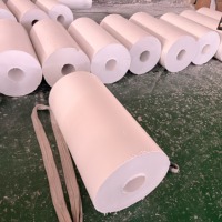 Plaque en fluoroplastique blanc industriel pour le traitement mécanique, composants d'étanchéité, revêtement d'équipement, feuille de PTFE en rouleau