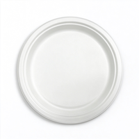Assiette ronde en bagasse de canne à sucre compostable, assiette blanche jetable biodégradable, assiette de dîner résistante et utilisable au micro-ondes