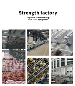 H1Z2Z2-K năng lượng mặt trời Cáp 4mm2 6mm2 10mm2 16mm2 đỏ đen pin DC Cáp <span class=keywords><strong>16</strong></span> Mét PV dây điện kabel 6 mét năng lượng mặt trời 10 mét - Product Image 5