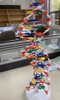 Modelo de ciencia orgánica, estructura educativa, modelo molecular