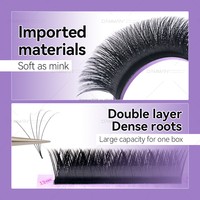 Cils en éventail intelligents personnalisés 0.05mm C D Curl Mix Length Easy Fans Lashes Tray Premade Fan Eyelash Extension