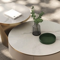Ensemble Meuble TV et Table Basse Nordique pour Salon, Style Moderne et Luxe, avec Plateau en Pierre