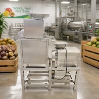 Dubbele Roller Fruitpulpmachine met Zaadverwijdering voor Passievruchten, Fruitpulpbereiding en Fruitverwerking