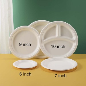 Assiettes jetables écologiques, biodégradables et compostables en bagasse de papier, 6, 7, 9, 10 pouces, 1 et 3 compartiments, pour fêtes et voyages - Product Image 5