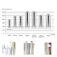 Vente en gros de boîtes aérosols en fer blanc pour produits d'entretien automobile, pompes de pulvérisation, boîtes de laque à cheveux vides et boîtes aérosols en fer blanc avec valve aérosol