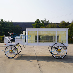 Carro Funebre Elettrico di Alta Qualità, Fornitore di Servizi Funebri, Carrozza per Bara in Vendita - Product Image 4