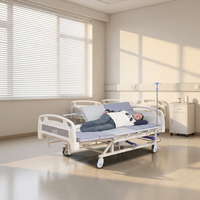 Lit médical manuel à double manivelle avec tête et pied de lit en plastique ABS, barrières latérales semi-pliables et frein de roulettes pour soins aux patients à domicile