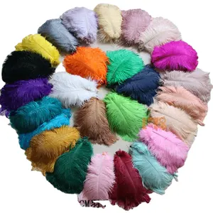 2024 Wholesale OEM size dyed colorful carnival festival ostrich feathers for carnival clothing/ wedding party decoration